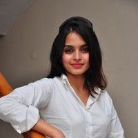 Sheena Shahabadi new pictures | Picture 45604